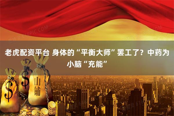老虎配资平台 身体的“平衡大师”罢工了？中药为小脑“充能”